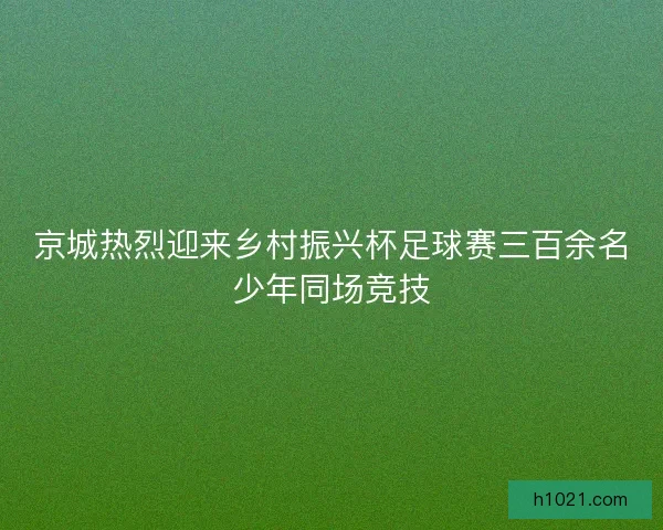 京城热烈迎来乡村振兴杯足球赛三百余名少年同场竞技