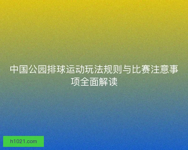 中国公园排球运动玩法规则与比赛注意事项全面解读